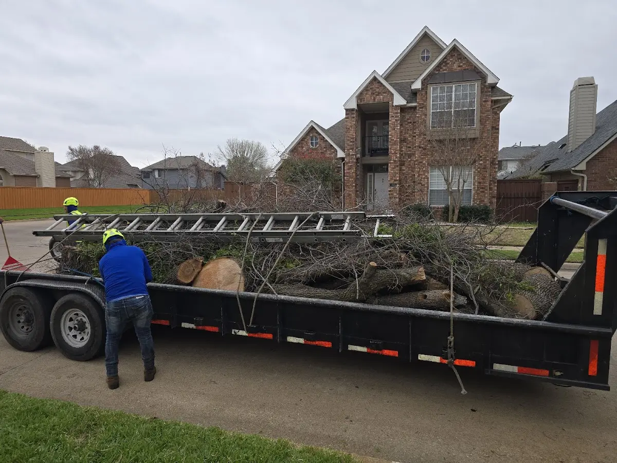 Expert Tree Removal with proper safety equipment in Inkom